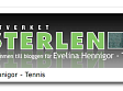 evelinas-bloggsida